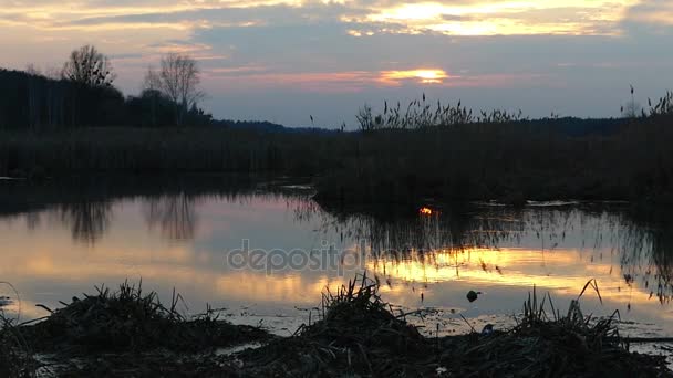Paisagem estática no lago ao pôr do sol — Vídeo de Stock
