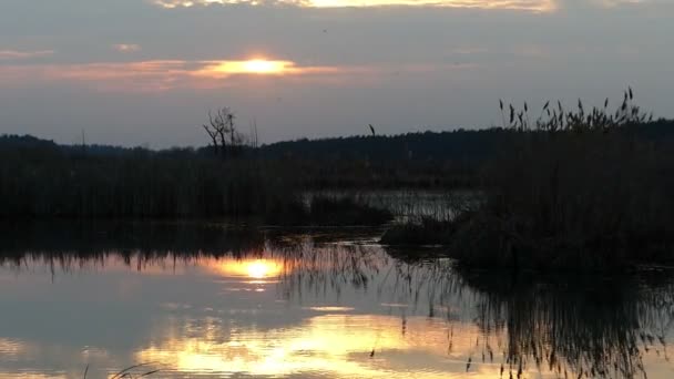 Statická krajina na jezeře při západu slunce — Stock video