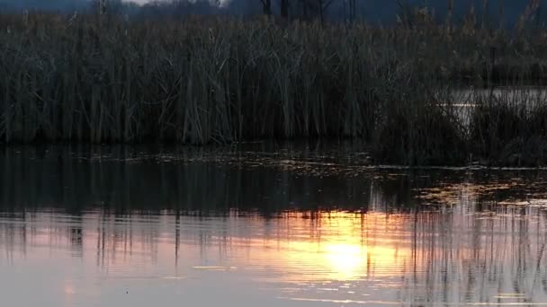 Перемещение отражения солнца в озере во время заката . — стоковое видео