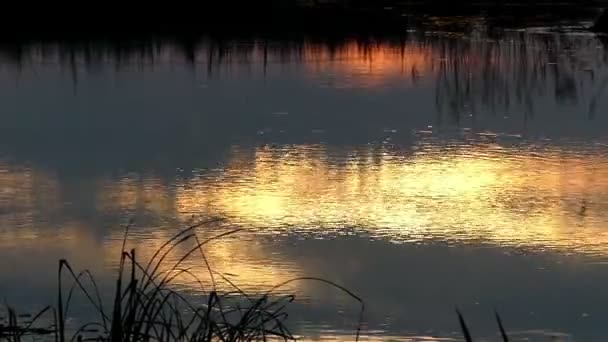 Reflectie van het luchtruim in het meer tijdens zonsondergang — Stockvideo