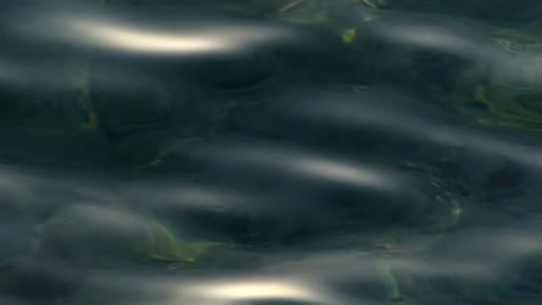 Background - Texture of Sea Water in Slow Motion — Stock Video