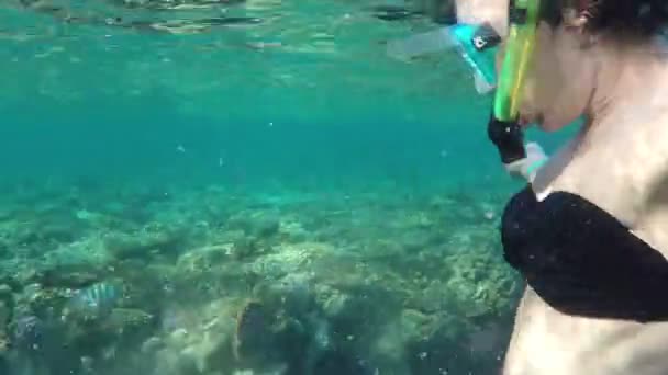 Молодая ныряльщица развлекается над живописным рифом в солнечный день — стоковое видео