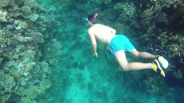 Mann taucht mit Maske und Schnorchel in Sauenbewegung unter Wasser. — Stockvideo
