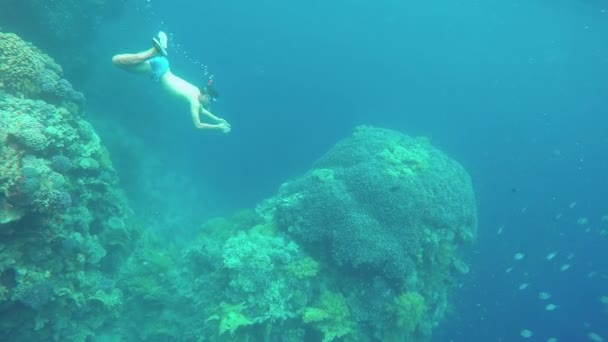 Potápění s maskou a šnorchlem pod vodou v Sow pohybu člověka. — Stock video