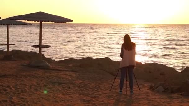 Gadis dengan Tripod Bekerja di Sunset on the Beach . — Stok Video