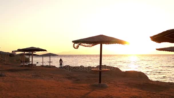 Deštníky, stojící na břehu moře při západu slunce. — Stock video