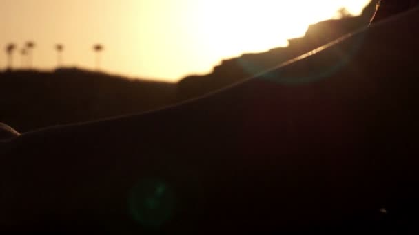 Το περίγραμμα του προσώπου της γυναίκας στο ηλιοβασίλεμα - σταθερή κάμερα κινείται πάνω-κάτω. — Αρχείο Βίντεο
