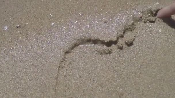 Female Hand Draws Four Curvy Lines on a Sea Beach Sand in a Sunny Day in Spring — Stock Video