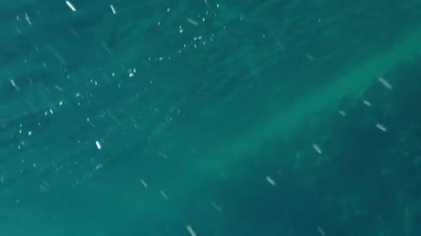 シュノーケルを口を開けて男がエジプトの青い海でエキゾチックな魚をフィードします。 — ストック動画