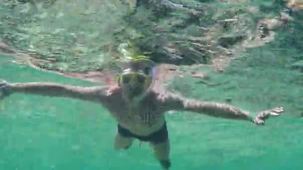 Genç adam gider şnorkel ve iki başparmak gösterir jestleri sualtı Red Sea'deki/daki yukarı — Stok video