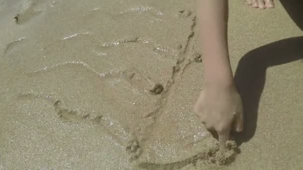 Vrouwelijke Hand tekenen lijnen en punten aan een zandstrand van het Sea, die lijken op een Medusa — Stockvideo