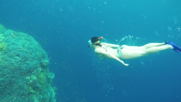 Young Girl Win Mask, Snorkel and Fins Floating Underwater Near Beautiful Coral Reef. — Stock Video