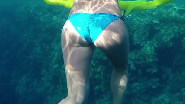 Genç kadın yüzüyor ve sarı bir bez üzerinde bir mercan Slo-mo elinde tutar — Stok video