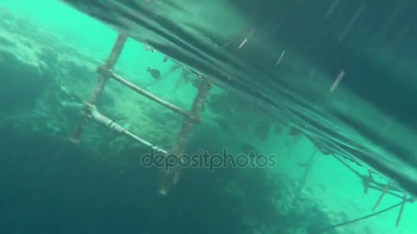 Escalier avec mains courantes Sous l'eau dans la plage de la mer Rouge par une journée ensoleillée — Video