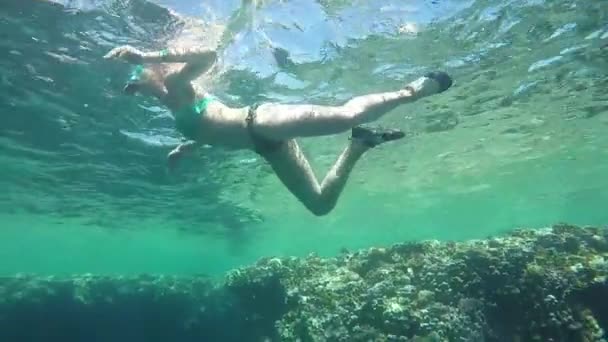 Mujer joven en bikini está nadando bajo el agua en cámara lenta en el Mar Rojo — Vídeos de Stock