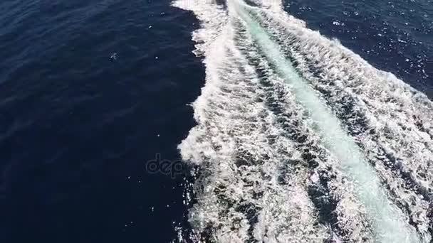 Потужний моторний човен плаває в Червоному морі швидко в сонячний день весни — стокове відео