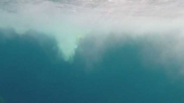 Salpicos de branco das águas seguindo as nadadeiras de um jovem de natação no Egito — Vídeo de Stock