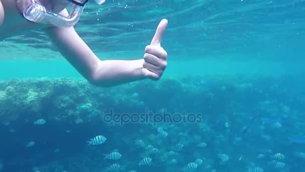 Auto filmación del hombre en máscara y snorkel que muestran el pulgar con peces en el fondo . — Vídeo de stock