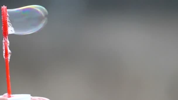 Las burbujas coloridas grandes del jabón se hacen al aire libre usando un palillo rojo especial del jabón — Vídeos de Stock