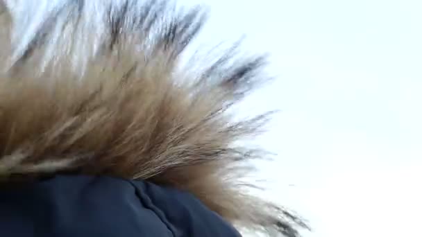 Pelliccia del cappuccio che si muove sotto gli scoppi di un forte vento in un tempo freddo e nuvoloso — Video Stock