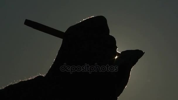 Hands Make Notes in a Notebook in Front of the Sun, Close-Ups, Their Silhouette is Visible — Stock Video