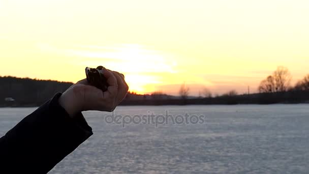 Γυναικείο χέρι κρατώντας πατημένο ένα πλήκτρο και μερικές φορές ρίχνει τους επάνω κατά τη διάρκεια του ηλιοβασιλέματος σε αργή κίνηση — Αρχείο Βίντεο