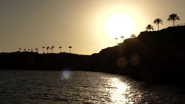 Muitas palmeiras em uma costa montanhosa ao pôr do sol olhar mágico e grande — Vídeo de Stock