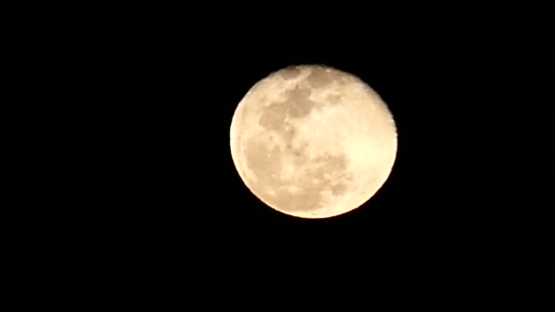 Luna llena profunda en la noche brillando con luz de luna blanca en Egipto en primavera — Vídeo de stock