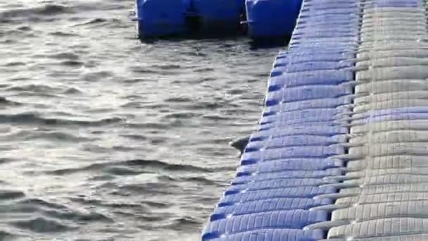 Il pontone di plastica blu e bianco ondeggia come un drago sulle onde del Mar Rosso — Video Stock
