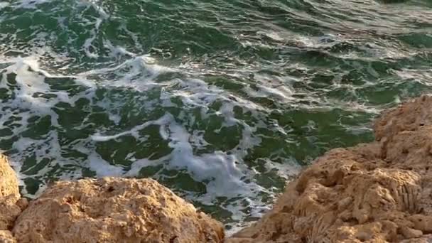 La costa rocosa del Mar Rojo con aguas espumosas en un día soleado — Vídeos de Stock