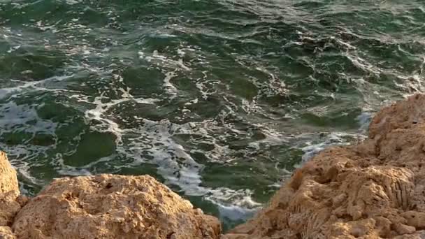 淡棕色的岩石海岸和阳光明媚的日子整理波在红海 — 图库视频影像
