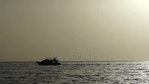 现代摩托艇花车慢慢地在配置文件中的红海的黄昏暮色 — 图库视频影像