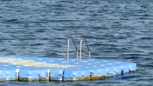 Pontão de plástico azul e branco está balançando nas ondas do Mar Vermelho em um dia ensolarado — Vídeo de Stock