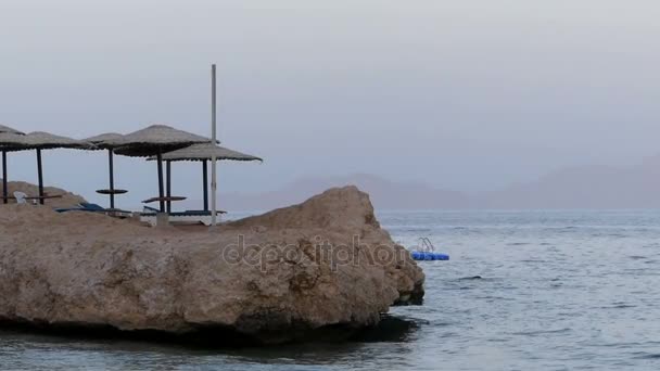 Солом'яні парасольки і плаваючі Понтонний на скелястому березі моря в Єгипті увечері — стокове відео