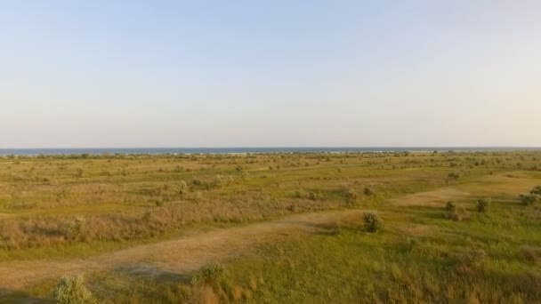 Luftaufnahme der Insel Dscharylhach mit malerischem Feuchtgebiet und blauem Horizont im Sommer — Stockvideo