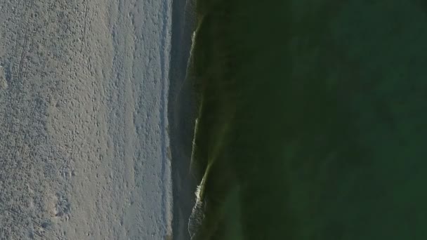 Luftaufnahme von dzharylhach Insel sandige Küste und grüne Wellen an einem sonnigen Tag — Stockvideo