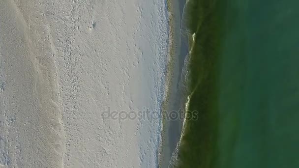 Dzharylhach 島の砂浜海岸、晴れた日に緑の暗い波の空中ショット — ストック動画
