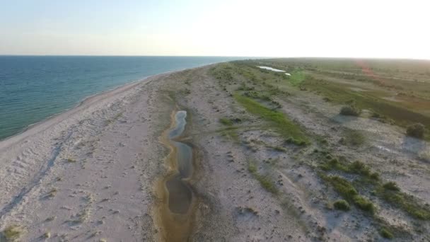 Luftaufnahme von dzharylhach Insel sandige Meeresküste mit hellgrünem Gras an einem sonnigen Tag — Stockvideo