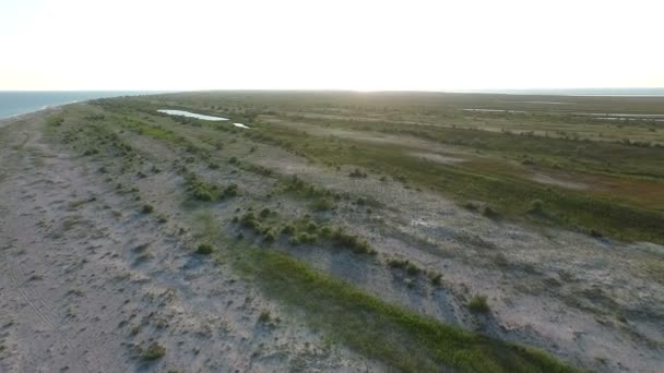 Luftaufnahme von dzharylhach Insel sandige Küste mit seltenem Grün an einem sonnigen Tag — Stockvideo