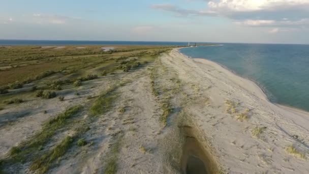 Luchtfoto van een gestrekte naar buiten en bochtige kuststreek van Dzharylhach eiland in de zomer — Stockvideo