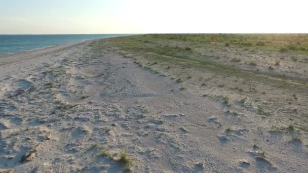 Aerial Shot of Dzharylhach Island Sandy Seashore on a Sunny Day — Stock Video