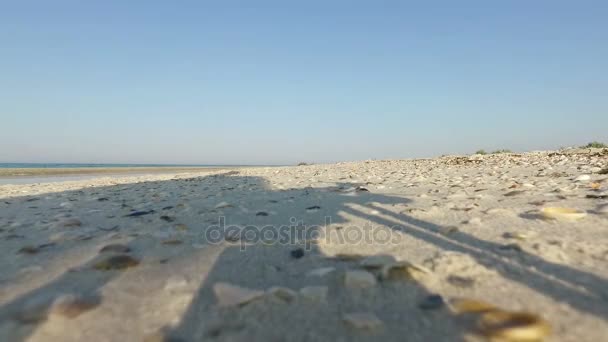 Съемка крупным планом песчаного побережья острова Джарылгач и тени дрона с вращающимися вентиляторами — стоковое видео