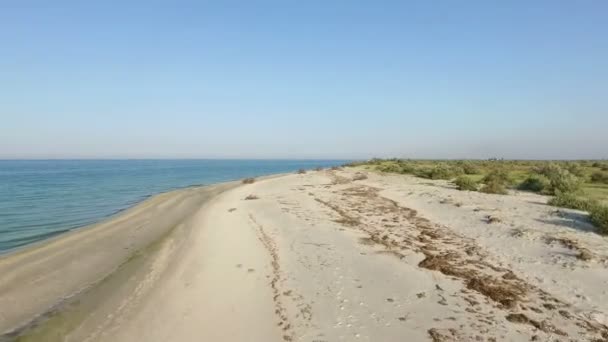 Dzharylhach Adası Sandy deniz kıyısı ve mavi dalgalar güneşli bir hava atış — Stok video