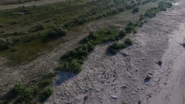 Dzharylhach sziget homokos talaj, nyáron napos légi felvétel — Stock videók