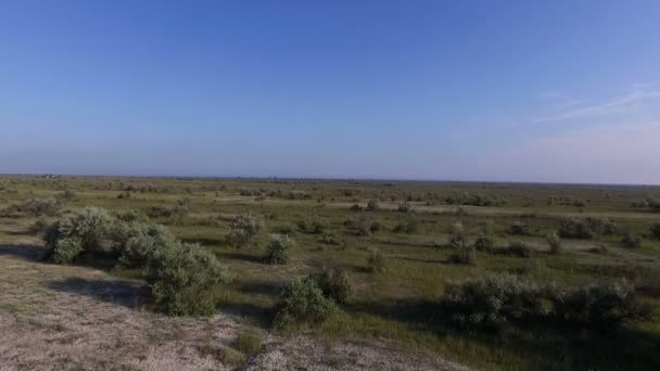 Luftaufnahme der Insel Dscharylhach sandigen Boden mit kleinen Bäumen und Büschen an einem sonnigen Tag — Stockvideo