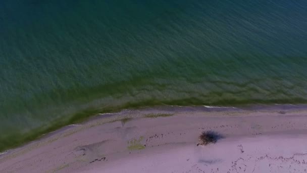 Tiro aéreo do Mar Negro Ondas à deriva não muito longe da ilha Dzharylhach Seashore — Vídeo de Stock