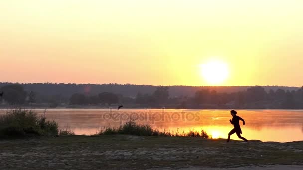 Mujer joven corre después de una paloma voladora al atardecer en una costa del lago en cámara lenta — Vídeo de stock