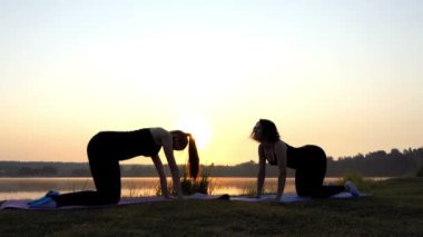 İki genç kadın batımında Yoga kedi kafa yukarı ve aşağı egzersizleri yapmak