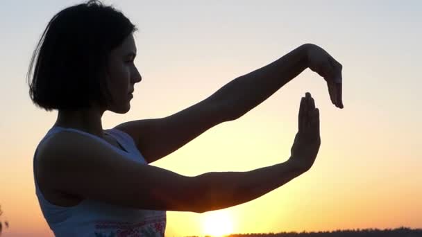 Μια χαρωπή λεπτή γυναίκα κάνει κουνώντας κινήσεις με τα χέρια της στο ηλιοβασίλεμα σε Slo-Mo — Αρχείο Βίντεο