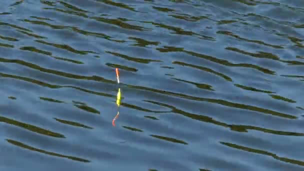 The yellow bobber floating on the surface of water. — Stock Video